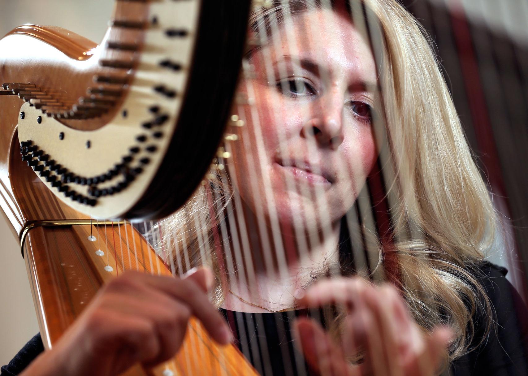 011319_LaurenMeierHarp003_bjs.JPG